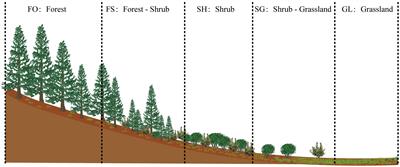 Phylogenetic diversity drives soil multifunctionality in arid montane forest-grassland transition zone